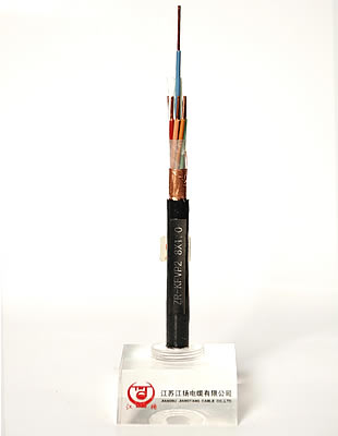 氟塑料绝缘耐高温电力电缆