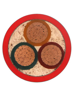 硅橡胶绝缘和护套电力电缆